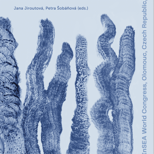 The International Society for Education through Art